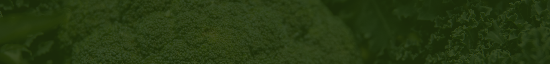 be broccoli banner